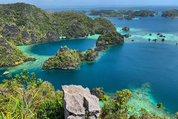 Misool Island: Hidden Lagoons & Ancient Mysteries
