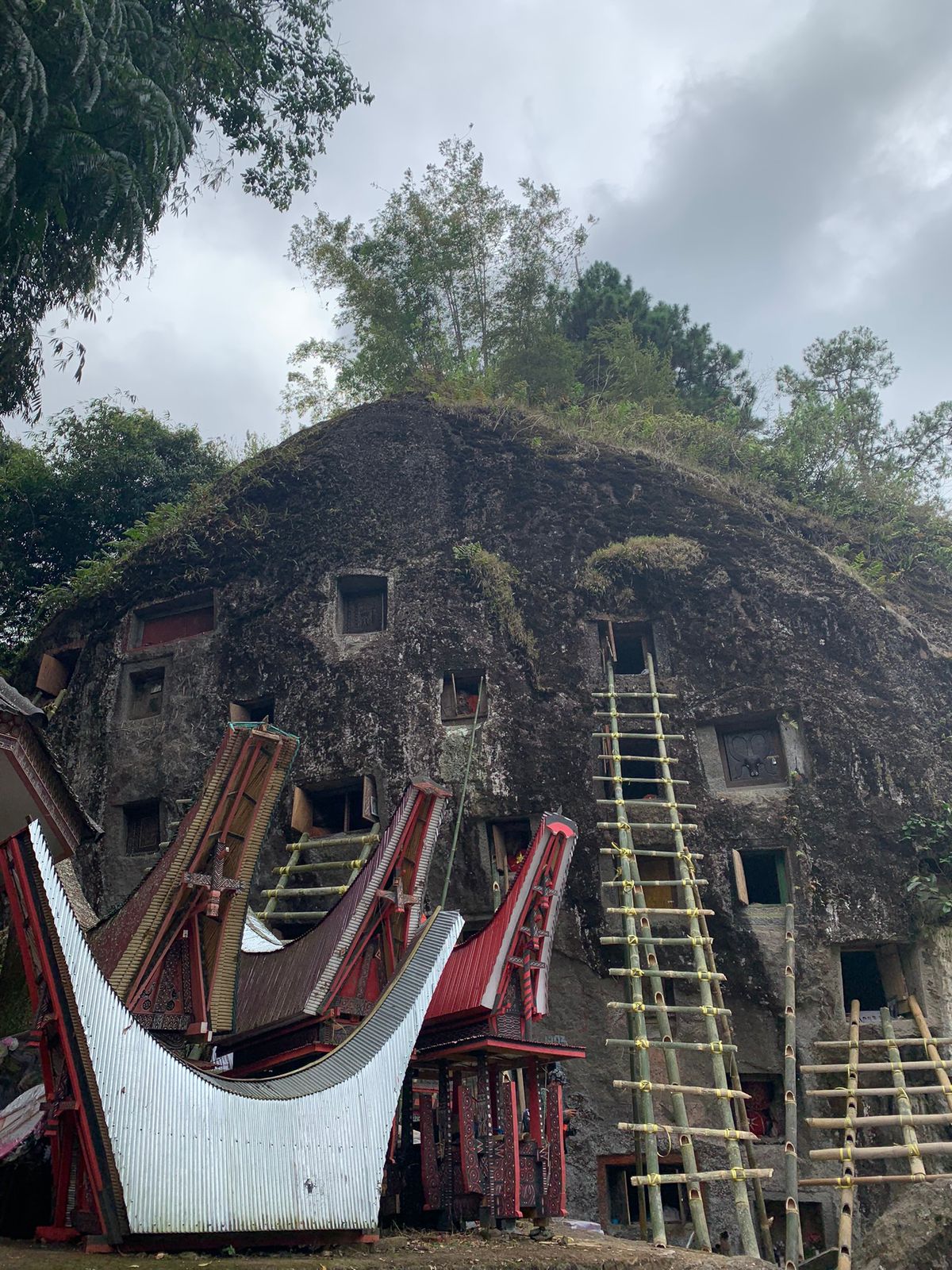 Toraja: The Land of the Heavenly Kings